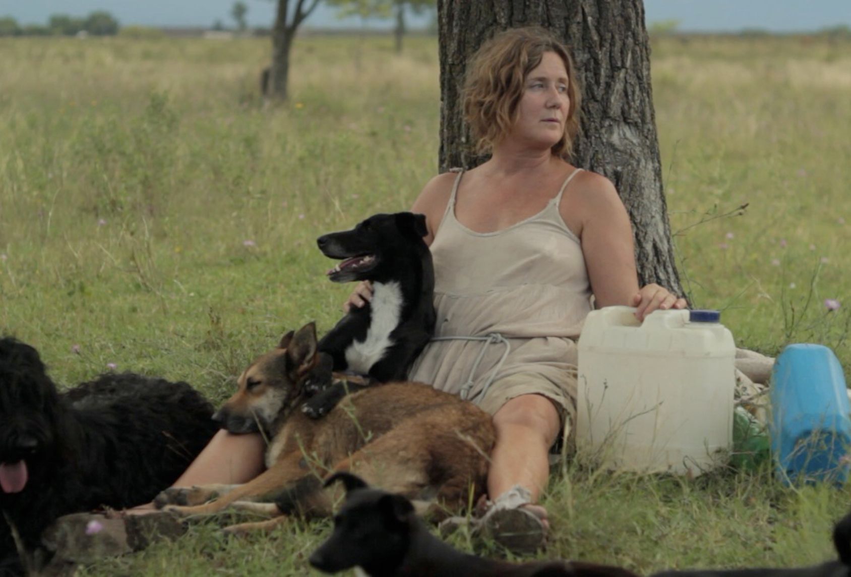 Dog Lady. 2015. Directed by Laura Citarella, Verónica Llinás | MoMA